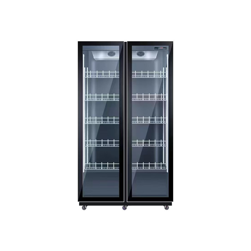 Double Door Air Cooling Refrig – Wine Beer Dual Zone recenzja i cena