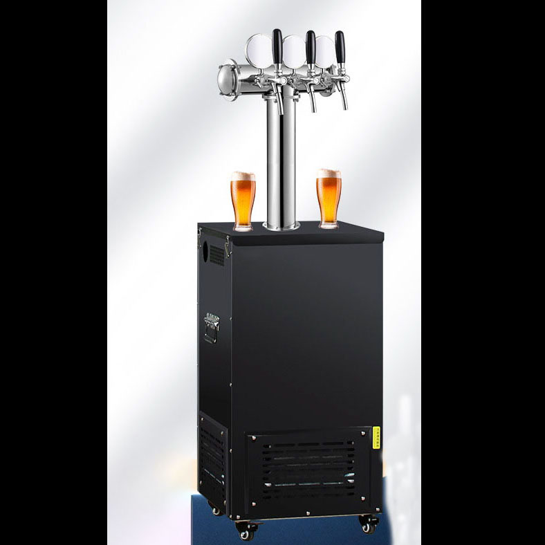 Wine Lovers Beer Kegrator Prem – Wine Draft Beer recenzja i cena